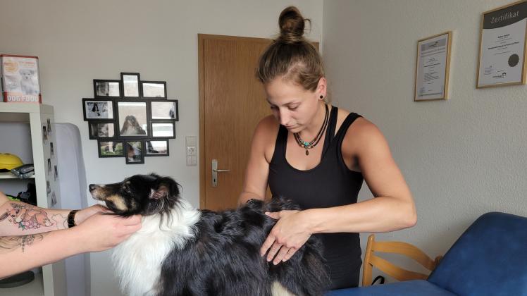 Shetland Sheepdog Angel ist schon seit Längerem bei Hundephysiotherapeutin Nadine Verkerk in Behandlung - seit dem 1. Juli in ihrer eigenen Praxis in Twist. 