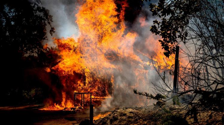 Die Flammen des Oak Fire fressen sich durch ein Haus. Foto: Noah Berger/AP/dpa