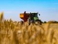 In der Ukraine wird sehr viel Getreide angebaut. Foto: -/Ukrinform/dpa