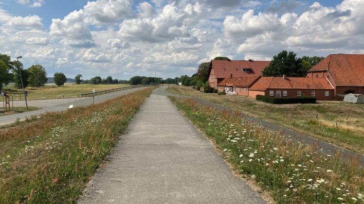 Fahrradweg an der Elbe auf Höhe der Fähre Tanja
