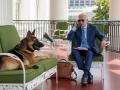 Der Schäferhund heißt Commander und gehört dem Präsidenten des Landes USA. Foto: Adam Schultz/The White House via AP/dpa