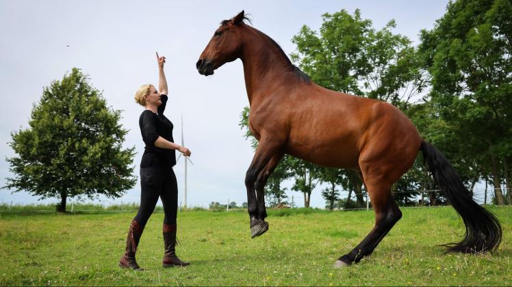 Sophie Graf kümmert sich um Pferde, die ihren Besitzern Probleme machen. Foto: Christian Charisius/dpa