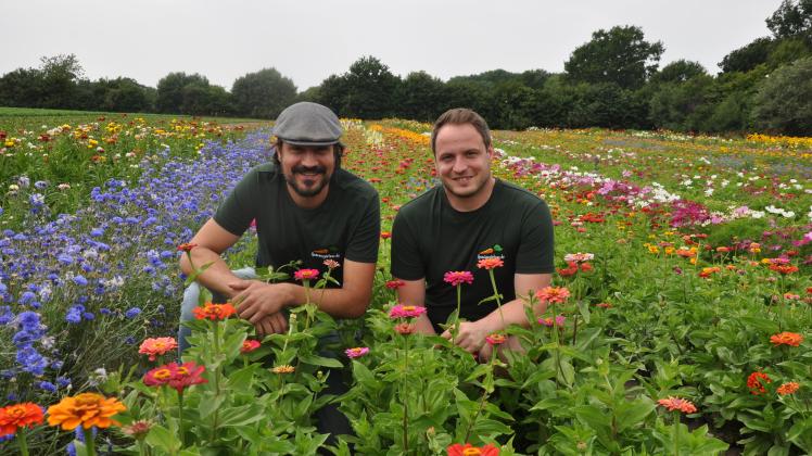 Daniel Joachim (links) und René Belker wollen die gute Position der Gemüsegärtner noch ausbauen.
