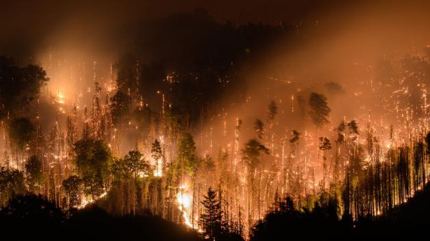 In der Nacht hat sich das Feuer auch im Nationalpark Sächsische Schweiz ausgebreitet. In der Nacht hat sich das Feuer auch im Nationalpark Sächsische Schweiz ausgebreitet.