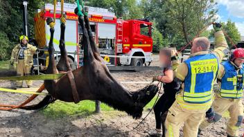 Rettung Pferd Halstenbek Graben