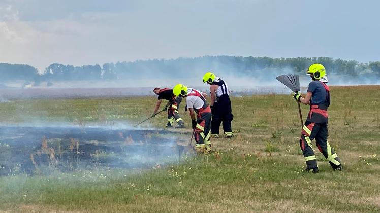 Am Montag waren die Kameraden der Freiwilligen Feuerwehr Wittenberge bei einem Feldbrand an der Elbbrücke aktiv.