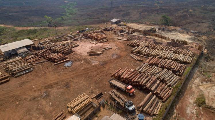 ARCHIV - Holzstämme in einem Sägewerk in Brasilien: Die Menschheit hat die für dieses Jahr verfügbaren natürlichen Ressourcen der Erde bereits verbraucht. Foto: Andre Penner/AP/dpa