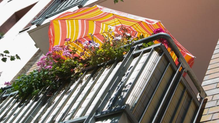 ARCHIV - Auch Pflanzen können unter Hitze und starker Sonneneinstrahlung leiden. Erste Hilfe bietet ein Sonnenschirm für Blumen und Co. Foto: Andrea Warnecke/dpa-tmn