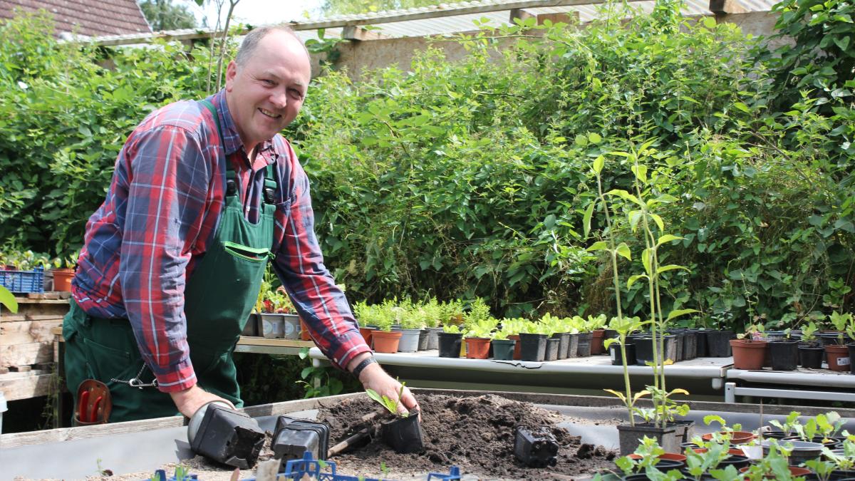 57+ Gärtner Husum, Vom kleinen privatgarten bis hin zu komplett