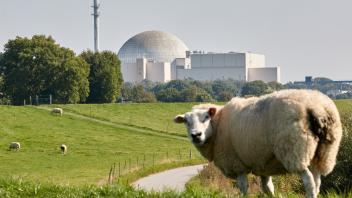 Vorabstimmung über grünes Finanzlabel für Gas und Atomkraft