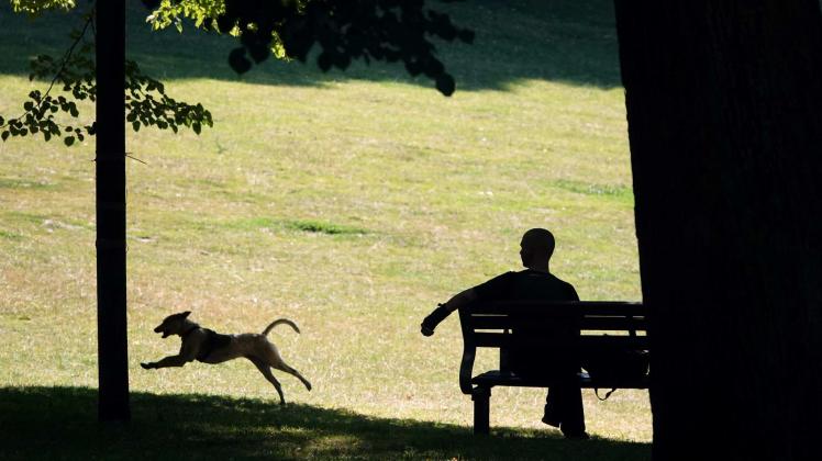 Ein Hund rennt im Schanzenpark an einem Mann vorbei, der auf einer Parkbank sitzt. Foto: Julian Weber/dpa