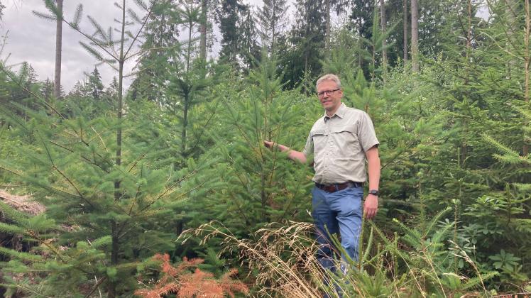 Fritz Ole Wolter ist bei der Försterei Lütjensee für rund 1400 Hektar Waldfläche verantwortlich.