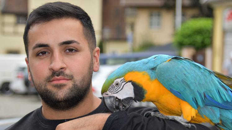 Björn Thienenkamp Auch tierische Besucher sind beim Reggae Jam zu finden.