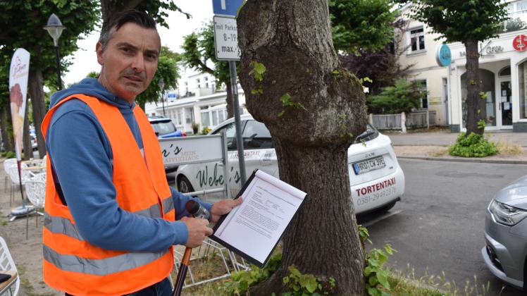 Als Baumkontrolleur des Städtischen Grünamtes ist David Schröder auch für Warnemünde zuständig. 