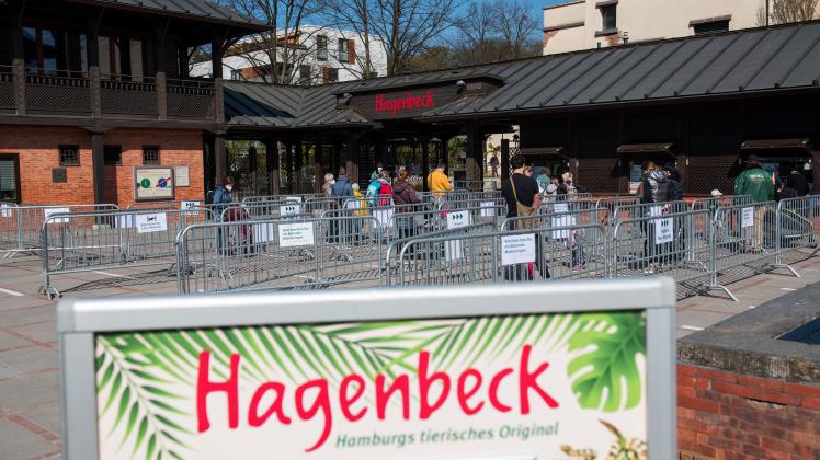 Tierpark Hagenbeck öffnet Außenbereich