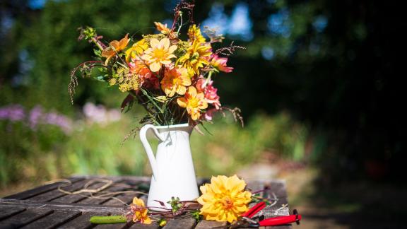 ARCHIV - Herrlich bunt: Im Garten von Claudia Werner wachsen über 100 verschiedene Blumensorten. Foto: Sina Schuldt/dpa ARCHIV - Herrlich bunt: Im Garten von Claudia Werner wachsen über 100 verschiedene Blumensorten. Foto: Sina Schuldt/dpa