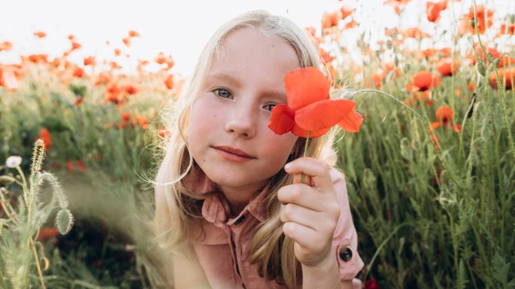 Blond girl holding red flower in poppy field model released, Symbolfoto, SIF00185