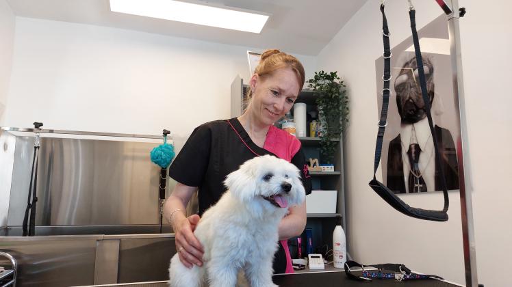 Melanie Yavuz mit Malteser Buddy in ihrem Hundesalon.