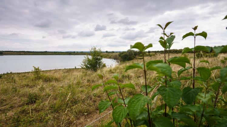 Die Leiche der 14-jährigen Ayleen wurde an einem kleinen See in einem Naturschutzgebiet der Wetterau nördlich von Frankfurt am Main gefunden. Foto: Frank Rumpenhorst/dpa