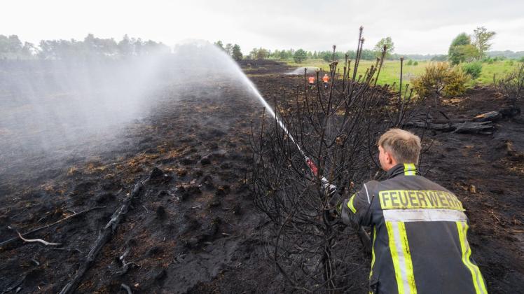 Ein Feuerwehrmann löscht einen Brand im Großen Moor im Landkreis Gifhorn. Foto: Julian Stratenschulte/dpa/Archivbild