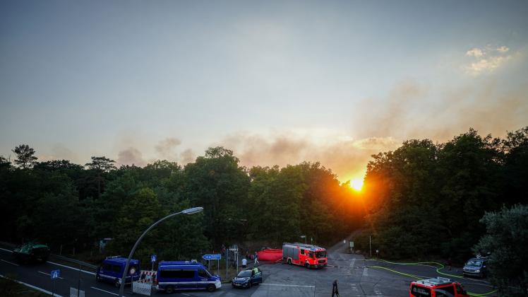 In einem Wald bei Berlin hat es gebrannt. Foto: Kay Nietfeld/dpa