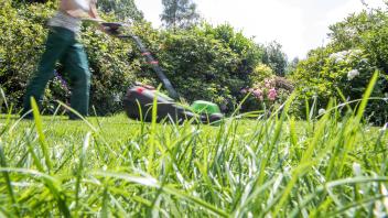 No Mow May: Warum man im Mai den Rasen wachsen lassen sollte