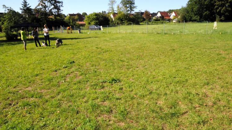 Hundewiese