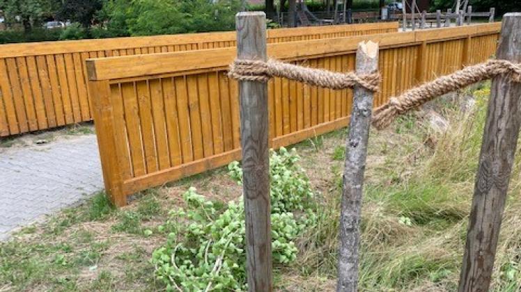 An der Goetheallee in der Meppener Innenstadt haben bislang unbekannte Täter einen neu gepflanzten Ginkgobaum abgebrochen.