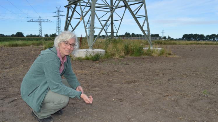So soll beim Umspannwerk Klixbll die Landschaft blhen