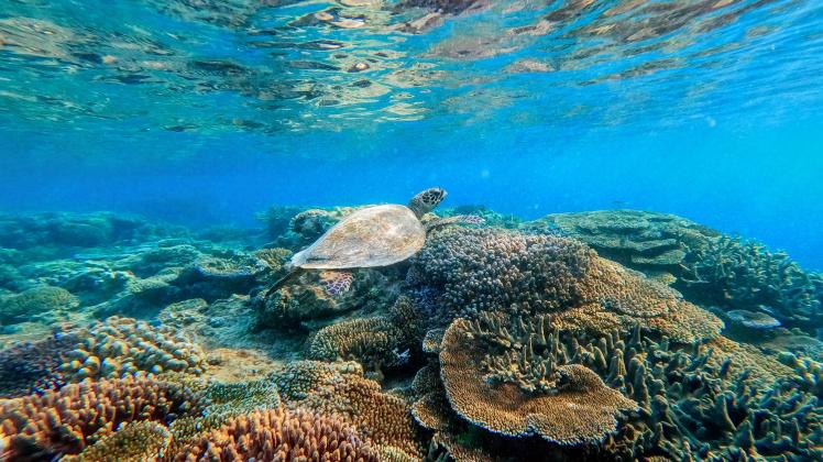 Great Barrier Reef