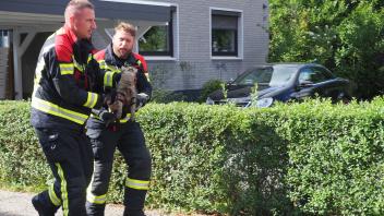 Katze wird in Uetersen verletzt und muss von der Feuerwehr zum Tierarzt gebracht werden.