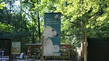 Wie der Zoo in Rostock Energie sparen kann, wird derzeit geprüft.