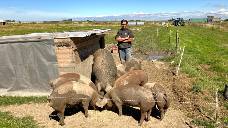 Iris Rubbert züchtet Schweine, auch das sogenannte Husumer Protestschwein.