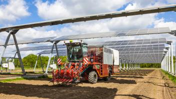 Agri PV - Solarzellen auf Stelzen, darunter wird der Boden landwirtschaftlich bewirtschaftet