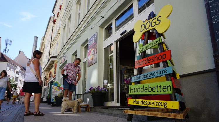 Seit dem 4. Juni hat Dogs Company in der Puschkinstraße, Schwerin, geöffnet