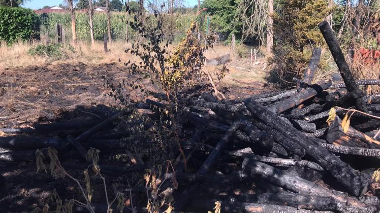 Auf einer Wiese in Haselünne ist am Mittwochabend Brennholz in Brand geraten.