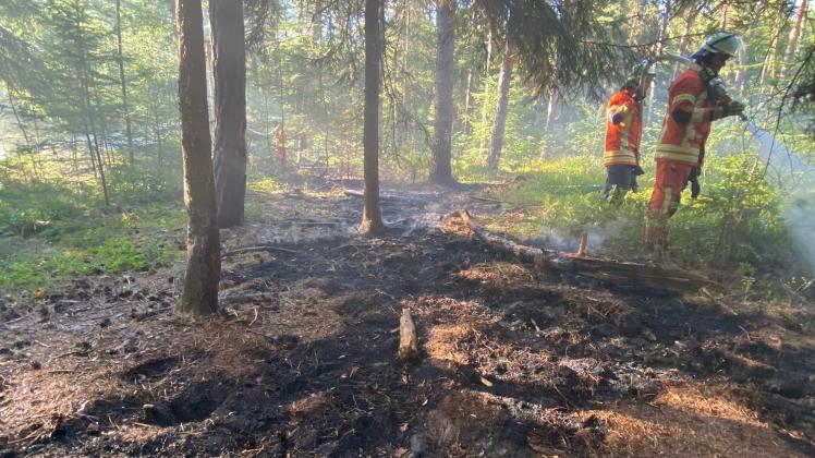In Vrees ist am Mittwochabend eine knapp 100 Quadratmeter große Waldfläche in Brand geraten. Die Feuerwehren aus Werlte und Lorup konnten durch erheblichen Wassereinsatz ein Ausbreiten des Feuers verhindern. 