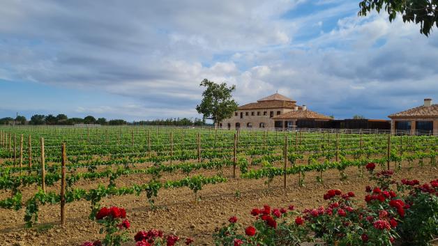 Auch der beeindruckende Weinkeller von Castell Peralada kann besichtigt werden.