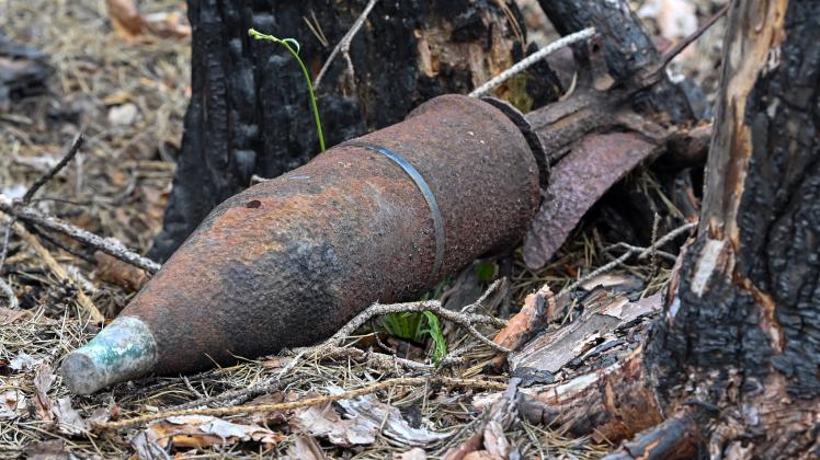 Munitionsfund nach einem Waldbrand in Liebroser Heide