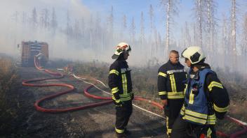 Rettungskräfte der Feuerwehr bekämpfen einen größeren Waldbrand in Schierke. Foto: Matthias Bein/dpa