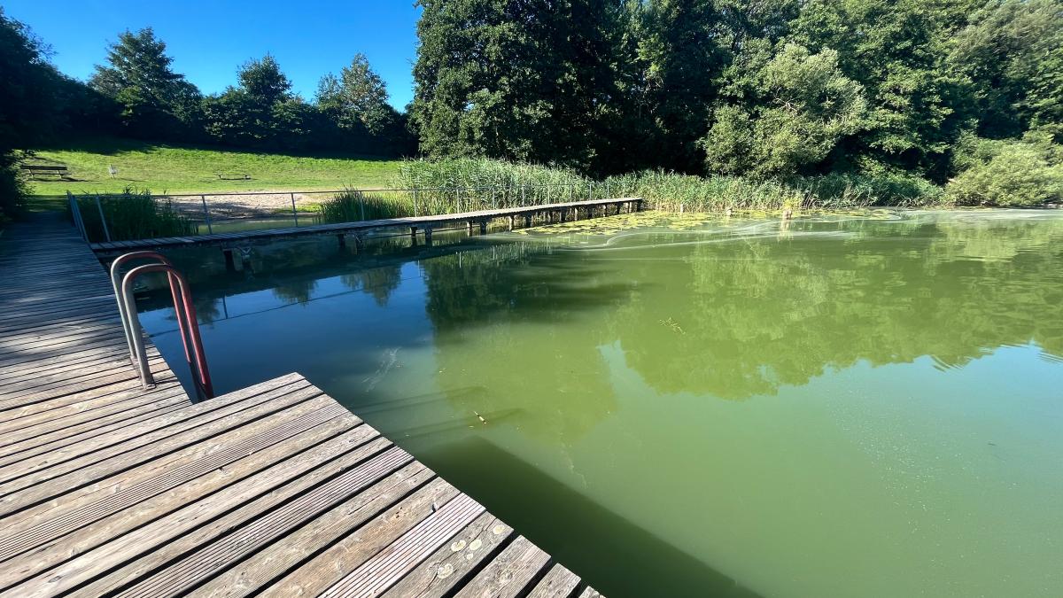 Warnung vorm Baden: Blaualgen im Tramser See entdeckt | NNN