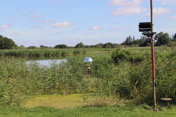 Es gibt auch einen See – perfekt für dieses warme Wochenende.
Es gibt auch einen See – perfekt für dieses warme Wochenende.