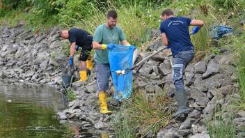 Freiwillige Helfer bergen tote Fische aus dem Wasser des deutsch-polnischen Grenzflusses Oder. Foto: Patrick Pleul/dpa