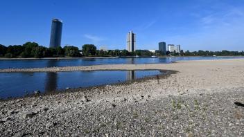 ARCHIV - Der Rhein hat derzeit wenig Wasser - so wie hier in Bonn. Foto: Roberto Pfeil/dpa