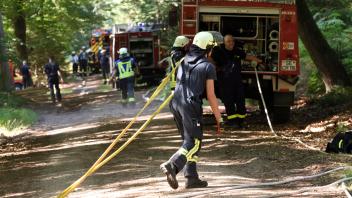 FW-Übung "SeFo 2022"
Feuerwehrleute und -autos auf Waldweg
Segeberger Forst, 13.8.2022