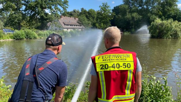 Zu wenig Sauerstoff in Meller Teich Tausende Fische tot NOZ