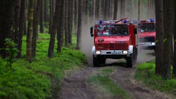 ARCHIV - Einsatzfahrzeuge fahren bei einem Waldbrand zum Brandort. Foto: Philipp Schulze/dpa/Archivbild