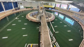 Rundlaufkanal der Universität Rostock. Während der Sommerschule probieren die Teilnehmenden hier ihre selbst konstruierten Unterwassergleiter aus.
