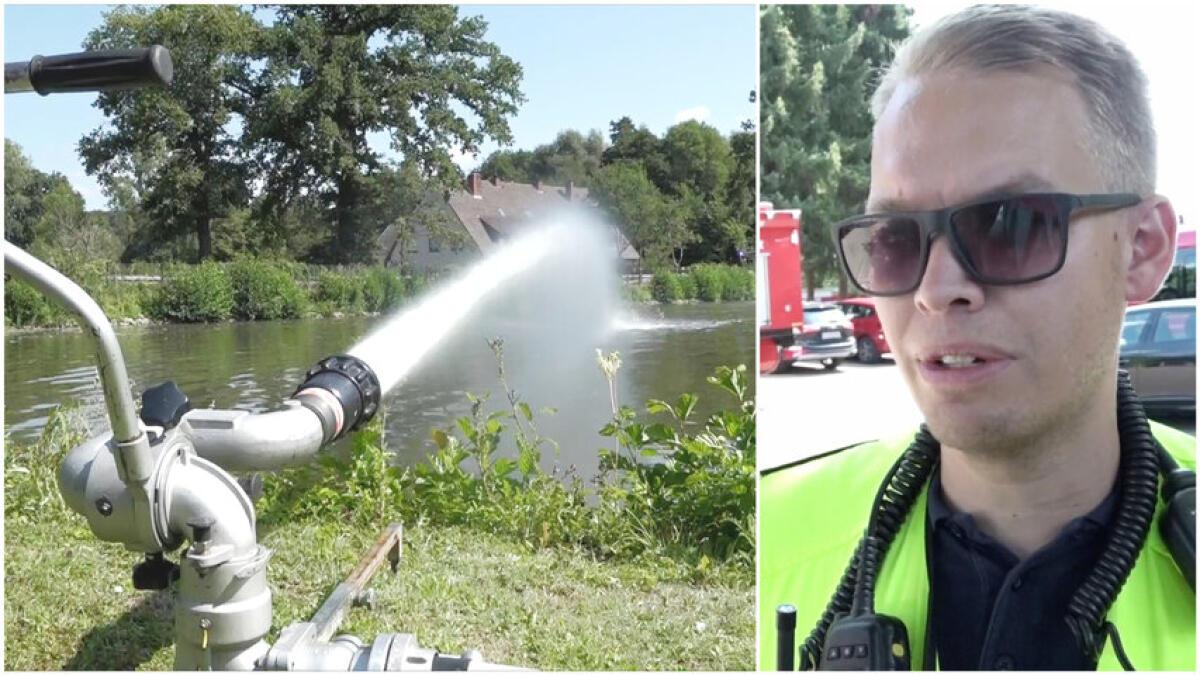 Zu wenig Sauerstoff in Meller Teich Tausende Fische tot NOZ