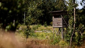 Ein Hochsitz ragt über eine Wiese, er dient der Bejagung der Wildbestände in der Eifel. Jagdzeiten, auch Schusszeiten ge